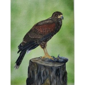 Hawk Fish Prey Acrylic Canvas Original Painting 9x12 Handmade
